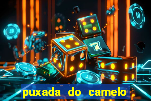 puxada do camelo jogo do bicho